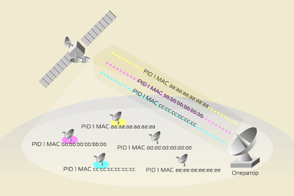 ����������� �������� � ������������� ��������, MAC-����� � IP-�����